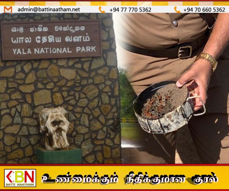 யால சரணாலயத்தில் விசேட தேடுதல் நடவடிக்கை