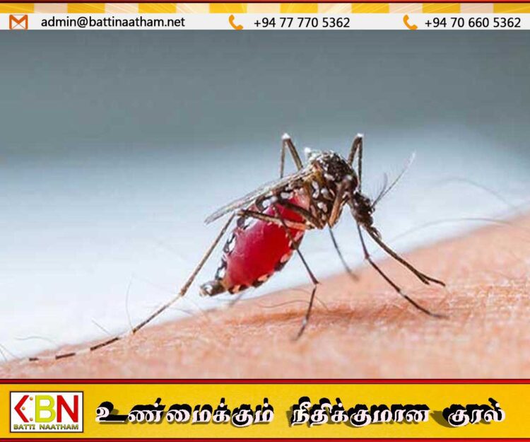 நாட்டில் அதிகரித்து வரும் மலேரியா தோற்று; தொலைபேசி இலக்கமும் அறிமுகம்