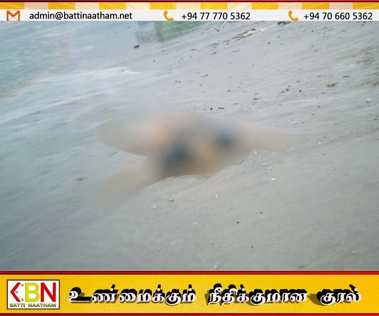 வாகரை காயங்கேணி கடற்கரையில் அடையாளம் தெரியாத சடலம் மீட்பு