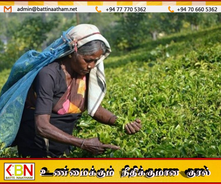 மலையக பெருந்தோட்ட தொழிலாளர்களுக்கு ஊக்குவிப்பு தொகை வழங்க உறுதி