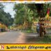 மாவீரர் நாள் ஆயத்தங்கள் புதுக்குடியிருப்பு கோம்பாவில் தீவிரம்
