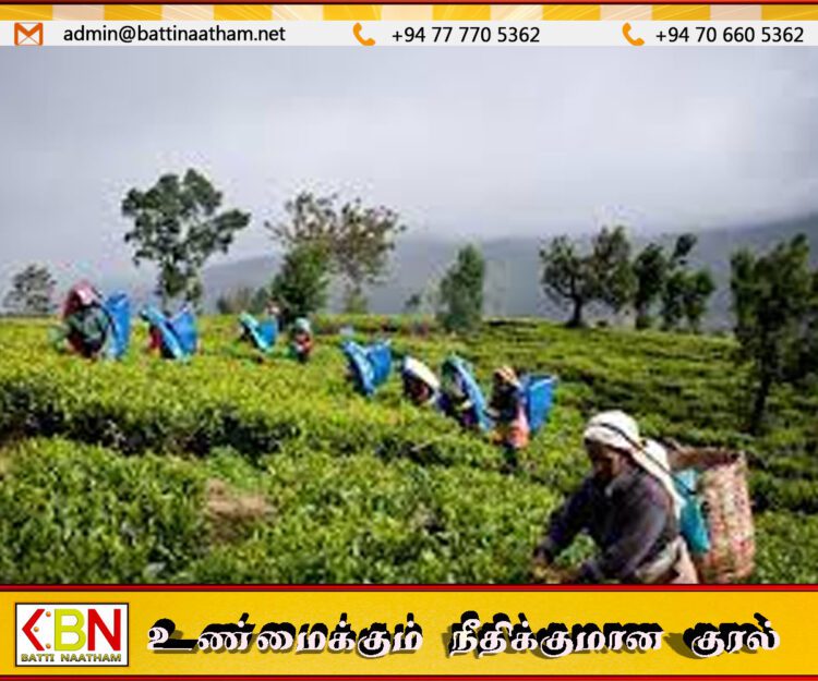 இறந்தவர்களை கௌரவமாக புதைக்கும் உரிமைக்காக மலையகத் தமிழர்கள் உயர்நீதிமன்றத்தில் அடிப்படை உரிமை மனு