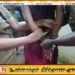 யாழில் 10 ஆயிரம் மில்லிலீட்டர் கசிப்புடன் பெண் கைது