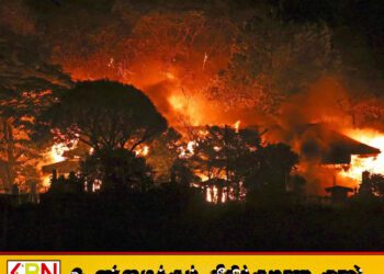 ஜப்பான் துறைமுகத்தில் பெரும் தீவிபத்து ; 170 கட்டிடங்கள் சாம்பல்
