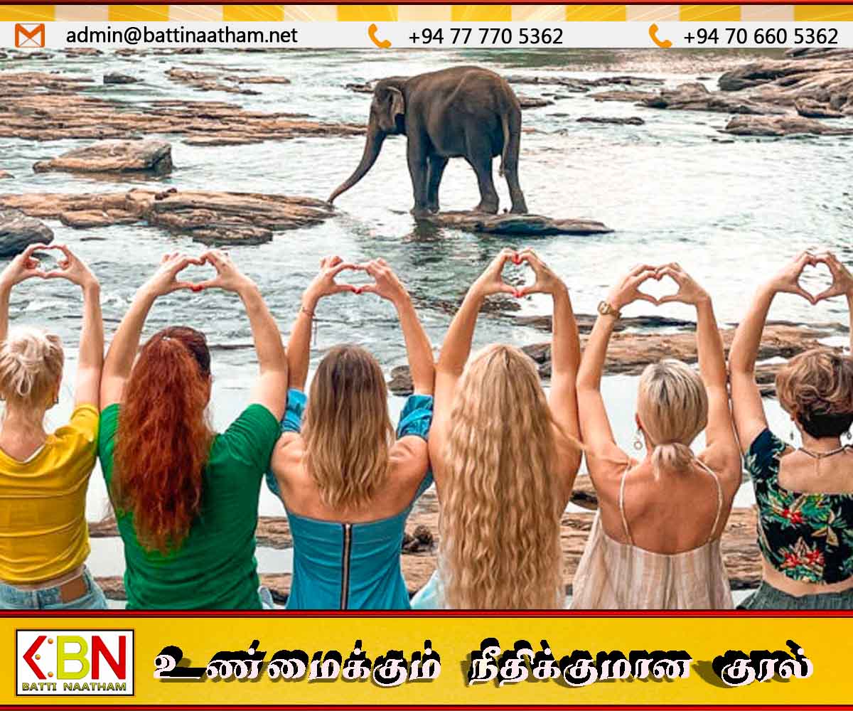 ஒரே ஆண்டில் இலங்கைக்கு வருகை தந்த அதிகமான சுற்றுலாப் பயணிகள் சாதனை முறியடிக்கப்பட்டது