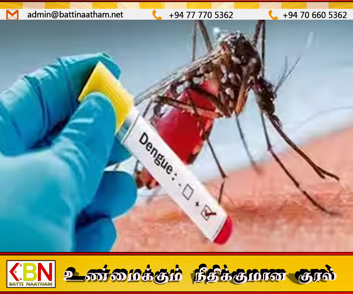 சுகாதாரத்துறை விடுத்துள்ள எச்சரிக்கை; புத்தாண்டின் முதல் 6 நாட்களில் 1,500க்கும் மேற்பட்ட டெங்கு நோயாளிகள் பதிவு