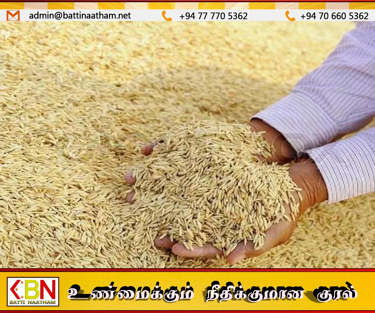 விதை நெல் உற்பத்திப் பண்ணைகளுக்கு காப்புறுதி திட்டம்