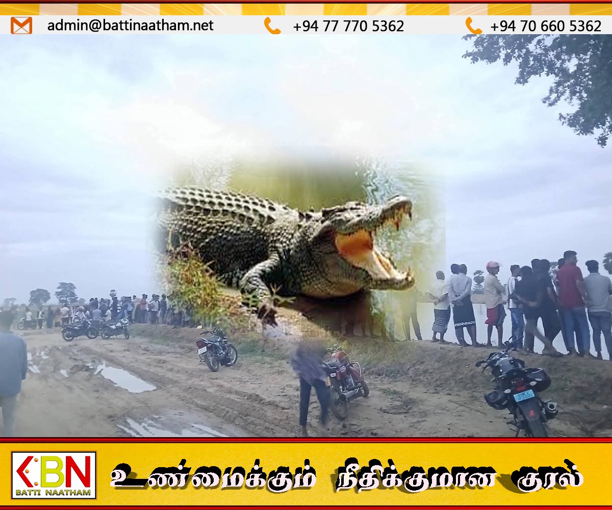 படகை எடுக்க சென்ற நபரை இழுத்துச்சென்ற முதலை