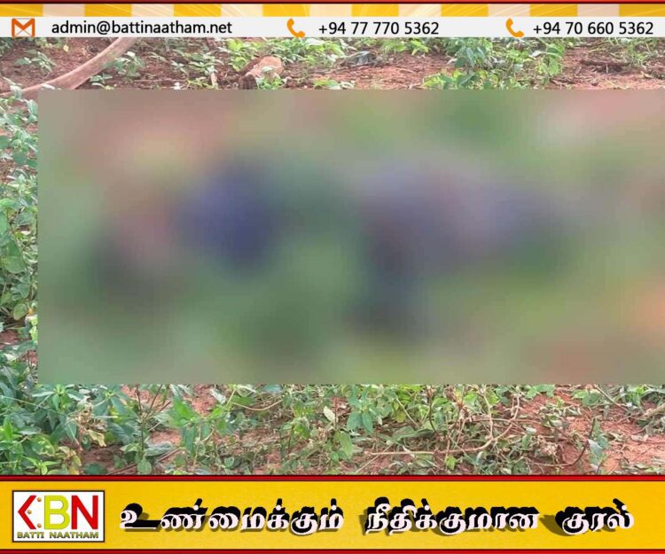 யாழில் காணித் தகராறு; ஒருவரை அடித்துக் கொலை செய்த சம்பவம்