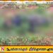 யாழில் காணித் தகராறு; ஒருவரை அடித்துக் கொலை செய்த சம்பவம்