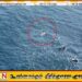 காலி கடற்பரப்பில் கப்பல் விபத்து; ஈரான் கப்பல் என உறுதி