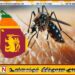 டெங்கு பாதிப்பு தீவிரம்; உயிரிழப்பு எண்ணிக்கை 31 ஆக உயர்வு!