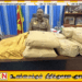 வவுனியாவில் ரூ.1 கோடி மதிப்புள்ள கேரள கஞ்சாவுடன் ஒருவர் கைது!