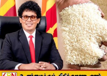 அரச ஊழியர்களுக்கு தவணை முறையில் 20 கிலோ அரிசி வழங்க அரசு திட்டம்