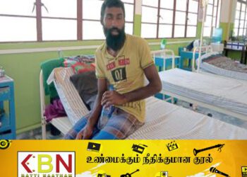 தேயிலை செடிக்குள் புது வித விஷப் பூச்சி!