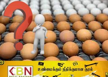 மட்டு நகர்ப்புறங்களில் மாயமாய் போன முட்டைகள்; பொதுமக்கள் விசனம்!