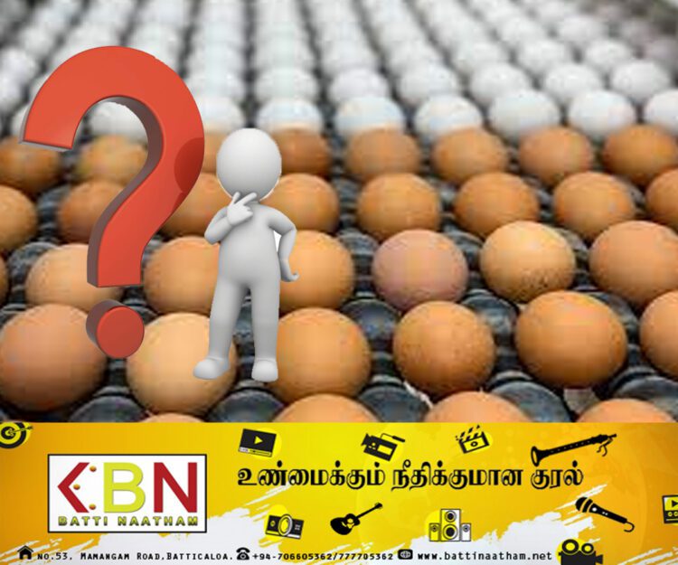 மட்டு நகர்ப்புறங்களில் மாயமாய் போன முட்டைகள்; பொதுமக்கள் விசனம்!