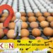 மட்டு நகர்ப்புறங்களில் மாயமாய் போன முட்டைகள்; பொதுமக்கள் விசனம்!