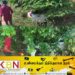 மட்டு வாவிக்கரை வீதியில் விபத்து!