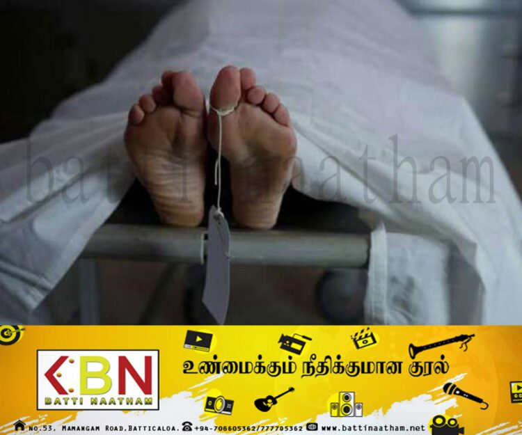 தாமரைக்கொடியில் சிக்கி இளைஞர் ஒருவர் பலி!