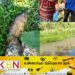 கொத்மலை ஓயாவில் திடீரென இறக்கும் மீன்கள்; பொதுமக்களுக்கு அவசர எச்சரிக்கை!