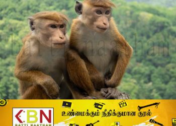 நாங்கள் குரங்குகளை கேட்கவில்லை; சீனா டுவிட்!