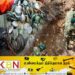 கரடியனாற்றில் பிக்குவுடன் இராணுவ வீரர்கள் கைது!