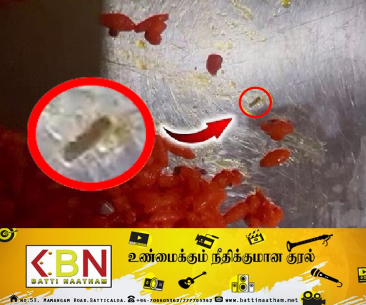 யாழ் பிரபல ஹோட்டலில் வழங்கிய உணவில் புழு!