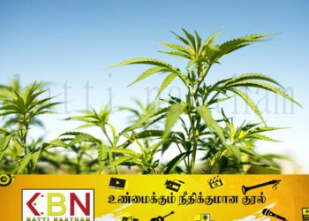 இலங்கையில் கஞ்சா பயிரிட அனுமதி; இராஜாங்க அமைச்சர் திலும் அமுனுகம தெரிவிப்பு!