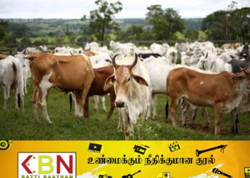 கால்நடைகளுக்கு பரவி வரும் நோய்; சுகாதார திணைக்களம் விதித்துள்ள தடை!