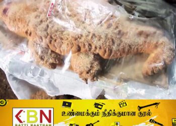 முதலை பணிஸ் 23,000 ரூபாவுக்கு விற்பனை!
