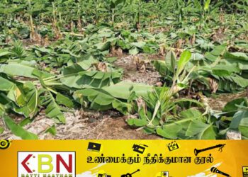 தென் பகுதியில் தமிழர்களுக்கு ஏற்பட்டுள்ள அவல நிலை; குண்டர்களின் அடாவடி!