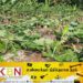 தென் பகுதியில் தமிழர்களுக்கு ஏற்பட்டுள்ள அவல நிலை; குண்டர்களின் அடாவடி!
