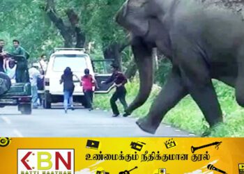 யானை தாக்கி முதியவர் பலி; திருமலையில் சம்பவம்!