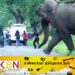 யானை தாக்கி முதியவர் பலி; திருமலையில் சம்பவம்!