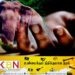 யானை தாக்கி வயோதிபர் மரணம்; திருமலையில் சம்பவம்!