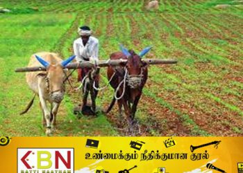 விவசாயிகளிடமிருந்து நெல் கொள்வனவு இன்றிலிருந்து ஆரம்பம்; விவசாய அமைச்சர் மகிந்த அமரவீர!