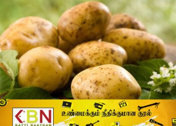 உருளை கிழங்கினூடாக போதைப்பொருள் கடத்தல்; அதிர்ச்சியில் இலங்கை சுங்கப் பிரிவினர்!