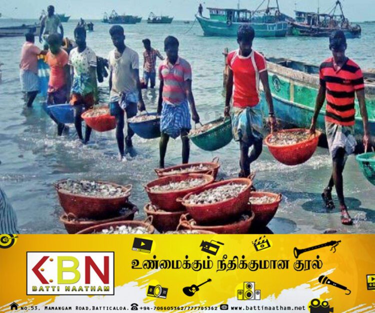 மீன்களின் விலைகள் குறைப்பு தொடர்பில் கடற்றொழிலாளர் சங்கம்!
