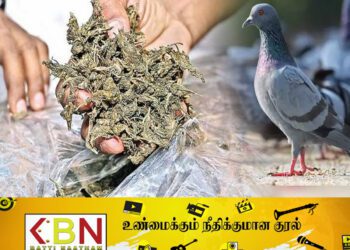 புறாக்கள் மூலம் போதைப்பொருள் விற்பனை!