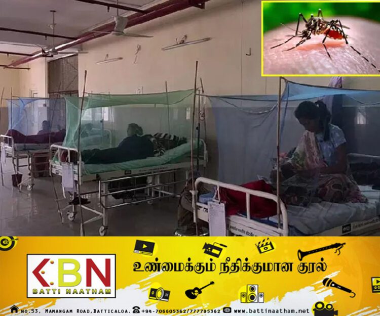 காய்ச்சல் உள்ளவர்களுக்கு டெங்கு கட்டுப்பாட்டு நிபுணர் குழு விடுத்துள்ள முக்கிய அறிவுறுத்தல்!