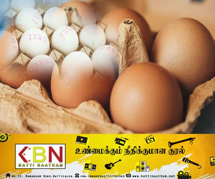 இந்தியாவிலிருந்து பேக்கரிகளுக்கு வழங்கப்பட்ட முட்டைகளை கடைகளில் விற்க தடை!