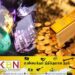 தங்கத்திற்கு பதிலாக போலி இரத்தினக்கல் பரிமாற்றம்; மோசடி குழு கைது!