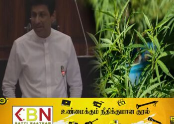 நாட்டில் கஞ்சா ஏற்றுமதி; கேவலம் என்கிறார் உதயகுமார் எம்.பி!