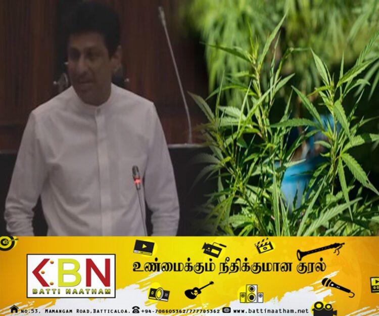 நாட்டில் கஞ்சா ஏற்றுமதி; கேவலம் என்கிறார் உதயகுமார் எம்.பி!