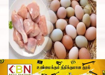 கோழி இறைச்சி, முட்டை விலையில் ஏற்படவுள்ள மாற்றம்!