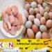 கோழி இறைச்சி, முட்டை விலையில் ஏற்படவுள்ள மாற்றம்!
