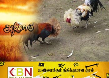 மட்டு வாழைச்சேனை நாவலடி பகுதியில் ஆடுகளம்; 07 பேர் கைது!