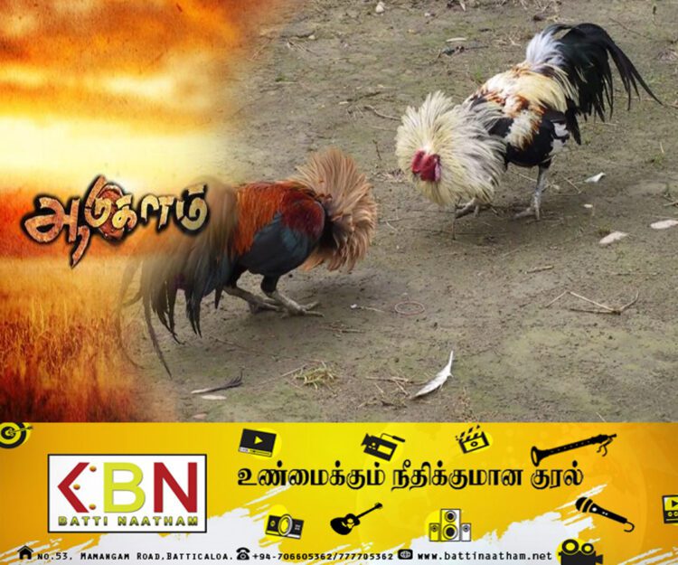 மட்டு வாழைச்சேனை நாவலடி பகுதியில் ஆடுகளம்; 07 பேர் கைது!