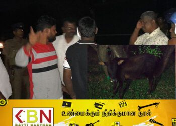 வவுனியாவில் முச்சக்கர வண்டியில் மாடு திருடிய இருவர்; பொது மக்கள் மடக்கி பிடிப்பு!